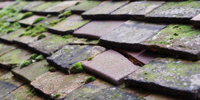 Llancayo roof repair costs